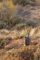 I see what you don't see