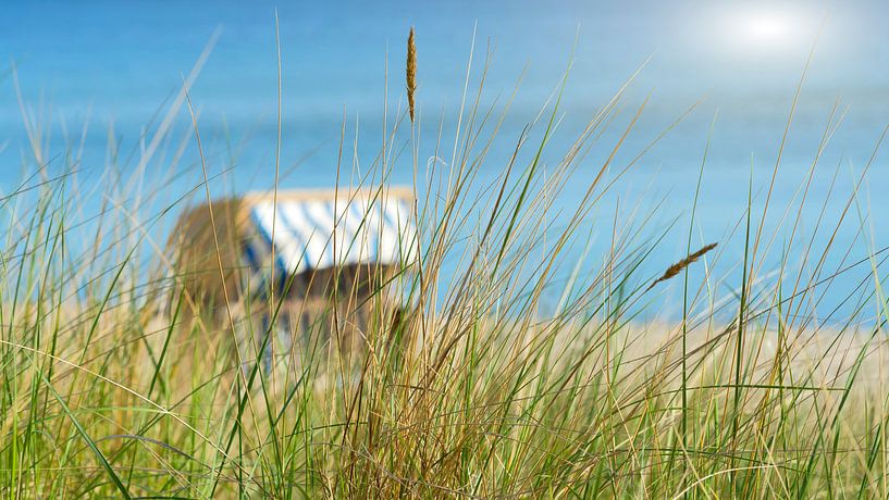 Sonne, Strand und Meer von Kirsten Warner