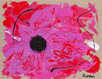 27 Combustible Energy 2