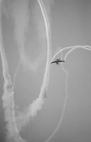 Hawker Sea Fury Motiv 5