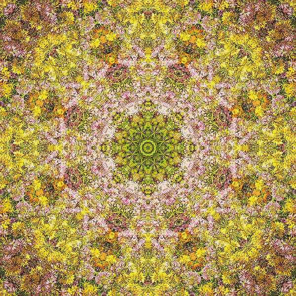 Kathmandu Octet par Frans Blok - des photos, de l'art et des autres décorations murales