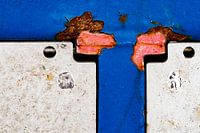 Discussion sur le poulet