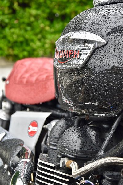 Triumph und andere Motorräder aus England von Jan Radstake