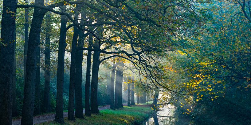 Morning in the Horsten by Georges Hoeberechts