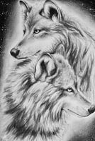 Tekening Wolven
