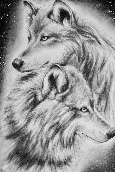 Tekening Wolven par Cynthia Jansen