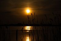 Sunset by the water.