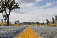 Zwischen Joshuas Armen