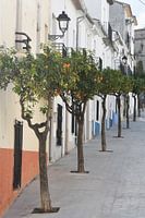 SPANJE - PROEF DE SPAANSE SFEREN