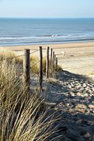 Plage des dunes Zandvoort