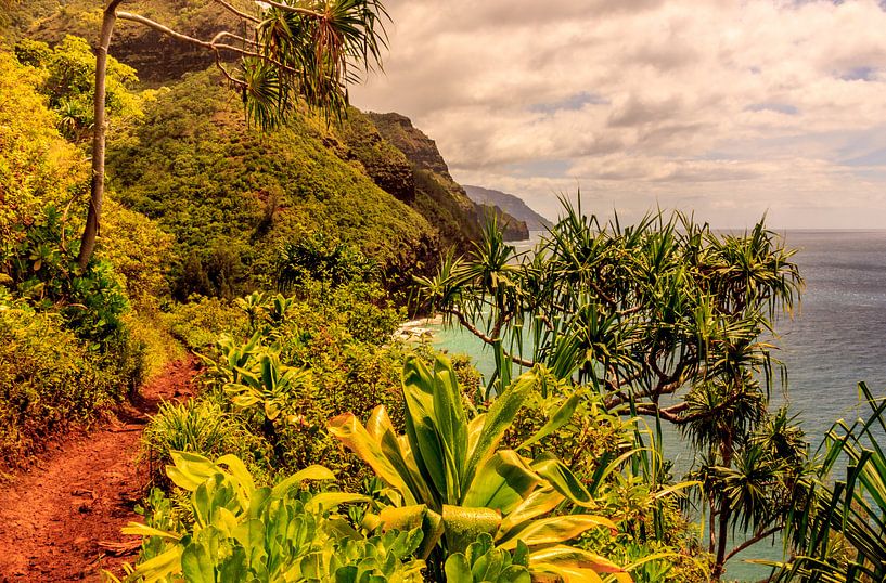 Hawaii von René Holtslag