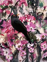 Merel bei den rosa Rosen