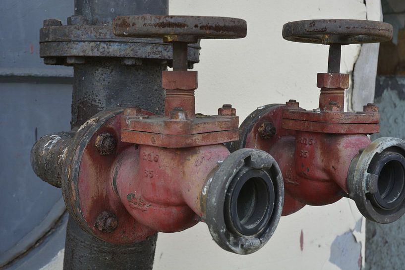 Pâte à frire Bon par Ferdinand Harts