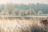 Tiefhängender Nebel über dem Wasser mit Raureif