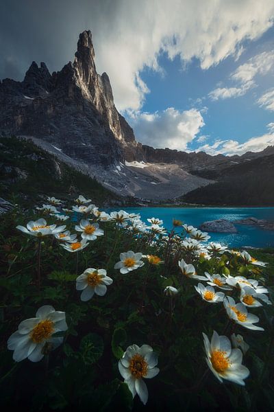 Evendim von Daniel Laan