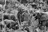 Op pad met de familie