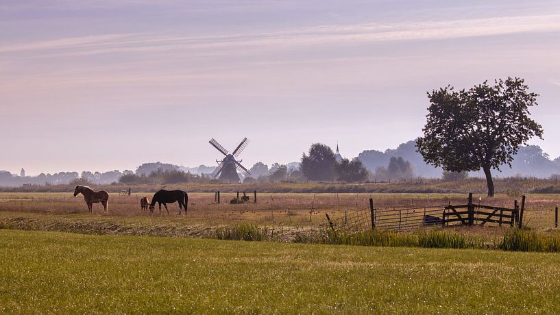 Foggy morning in Noorddijk Groningen by Marga Vroom