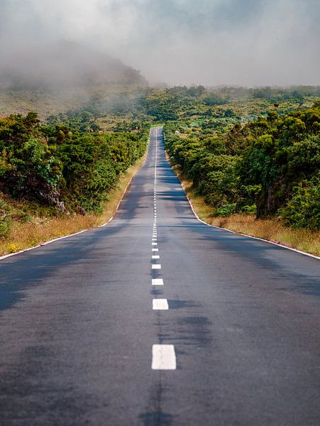 voyage en voiture par Alexander Dorn