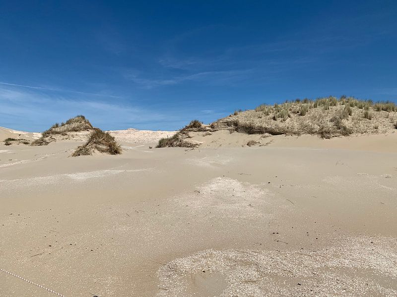 Dunes on North Sea beach. by Eric Reijbroek
