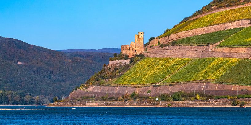 LE RHIN 04 par Tom Uhlenberg