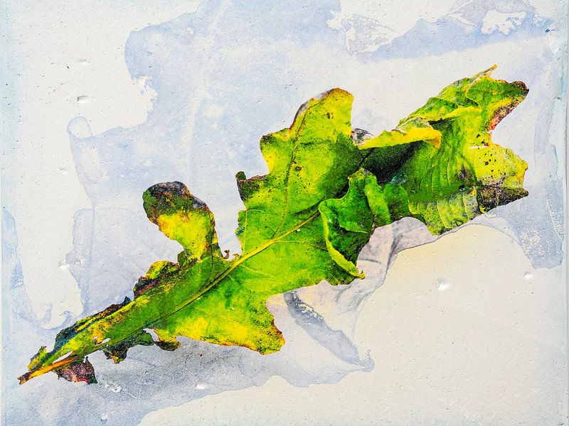 Sonnenverbranntes Baumblatt 2, Sommer 2023 von Jaap de Raat