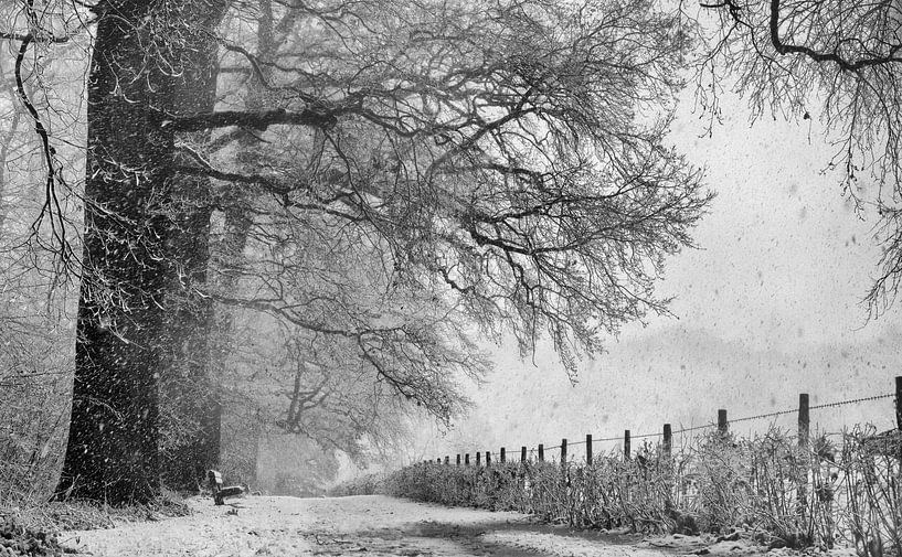 Winterlandschap in Nederland von Michel Van Zanten