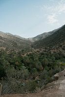 Paradise Valley nr. 3