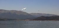 Pelican over Prespa Lake with mountains in background