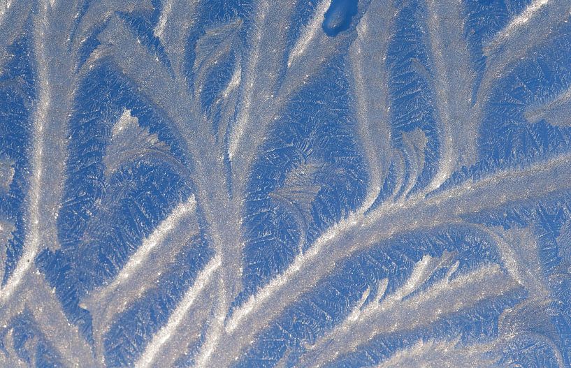 Structures de glace sur une fenêtre gelée. par Albert Brunsting