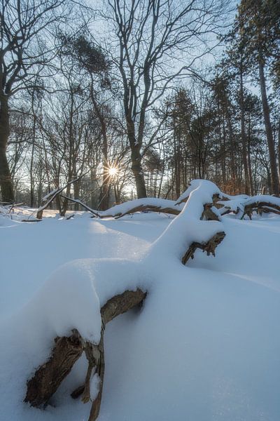Magische Winterlandschaft von Moetwil en van Dijk - Fotografie