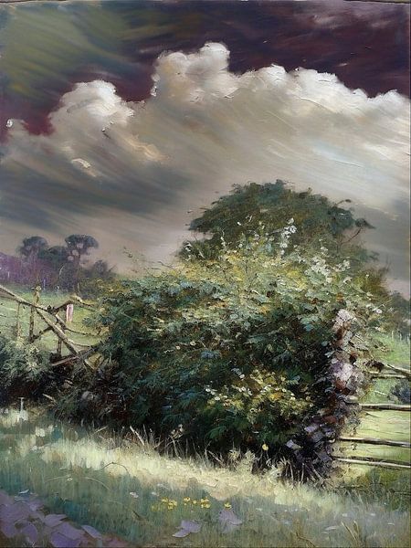 Mooie luchten van Zeeland. van Mario Dekker-Janssen