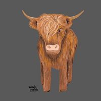 Scottish Highland cow - digital pen drawing