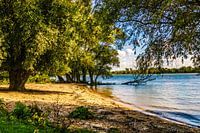 Plage de Tongplaat - Dordtse Biesbosch