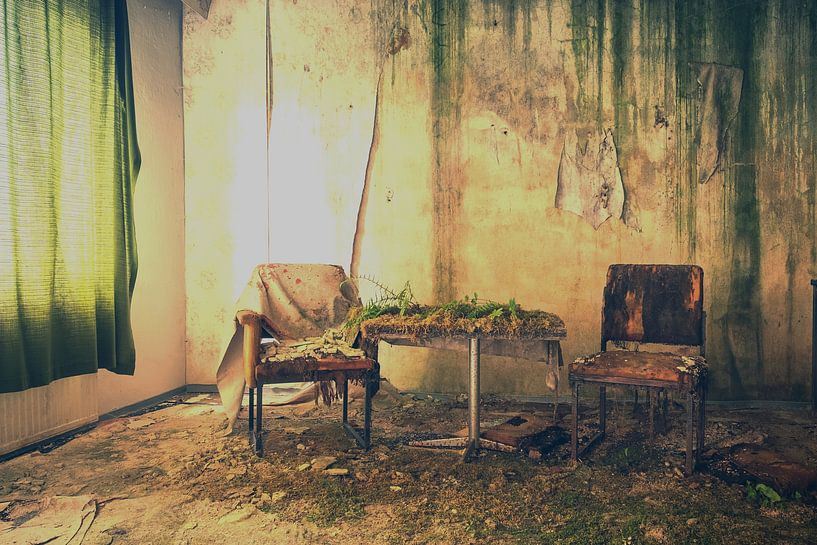 Gras, mos en varens in dit verlaten hotel van Truus Nijland
