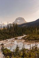 Coucher de soleil sur la rivière : Les paysages de montagne de Yoho's
