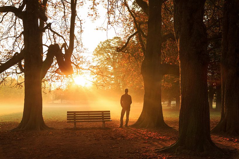 Herbst von Sander van der Werf