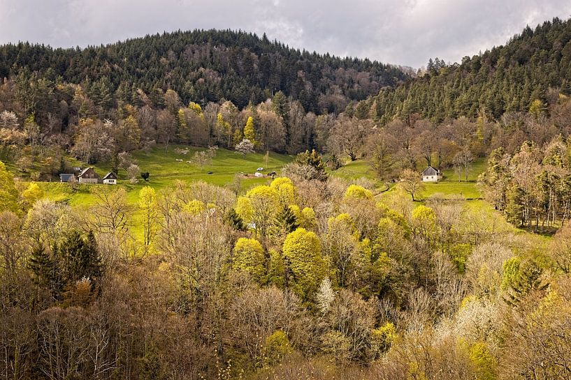 Hohrod @ Vogesen von Rob Boon