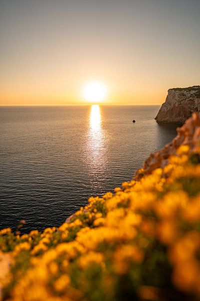 Sonnenuntergang an den Klippen Sardiniens am Parco Naturale Di Porto Conte von Leo Schindzielorz