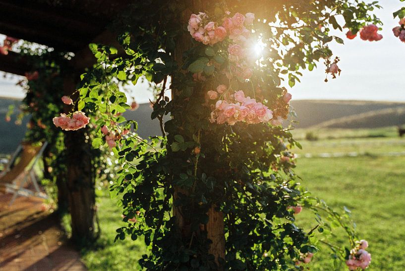 Tot rust komen in Toscane van Pieter Wolthoorn