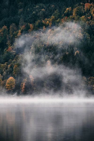 Alpes par Marvin Schweer