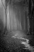 In tiefen Gedanken im Wald verschwinden