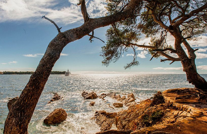 Paradijs: Île Saint-Marguerite in de Middellandse Zee van Hilke Maunder
