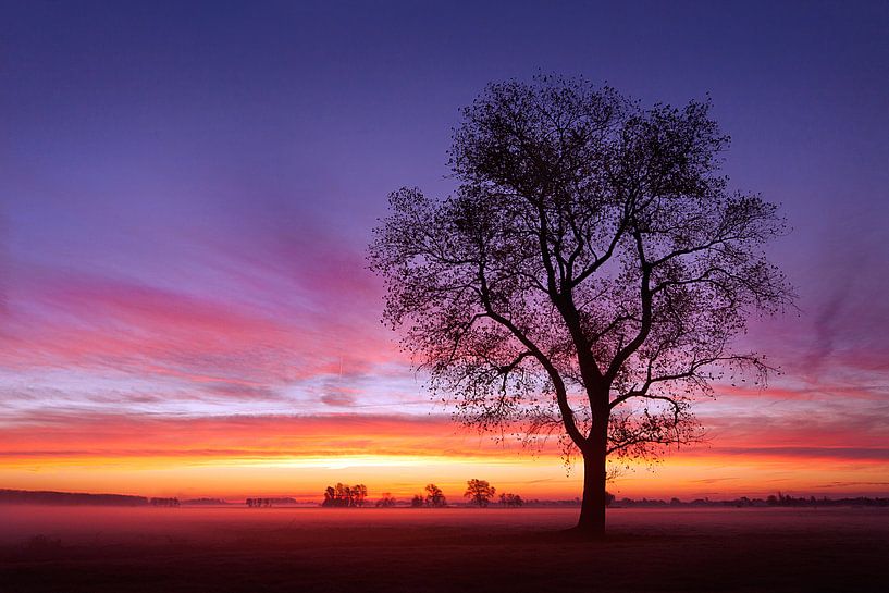 Guten Morgen von Halma Fotografie
