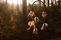 Dromenvanger bij zonsondergang