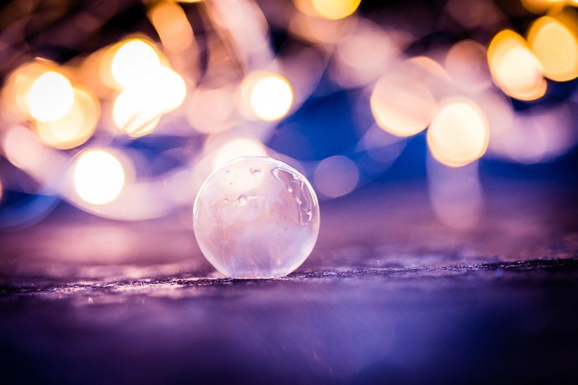 Bevroren bel von Robert van Grinsven