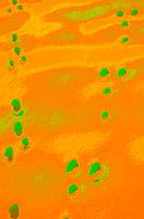 Radioaktiver Schneehase