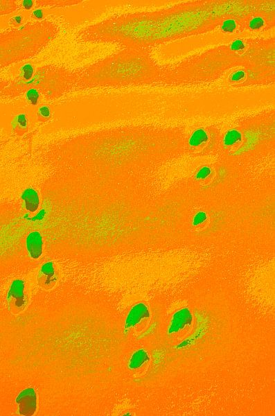 Lièvre des neiges radioactif par De Rover