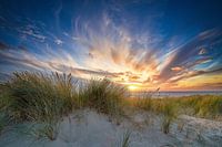 sunset in the Dutch dune landscape