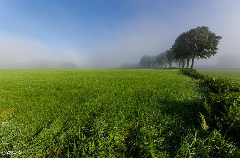 Ochtendnevel von Jan Beukema