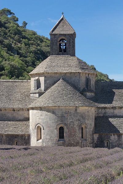 Abdij Notre-Dame de Sénanque, Provence par Jan Piet Hartman